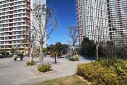 留学生入深圳户口应对策略如何制定？3个步骤教你完成