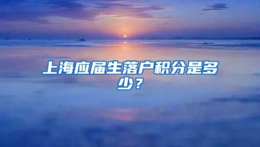 上海应届生落户积分是多少？