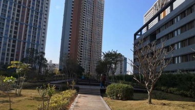 2022深圳集体户口挂靠这样应对，少走弯路节省时间！