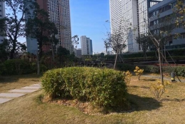 轻松应对2021留学生办理深圳户口的流程只需要掌握这5大技巧！