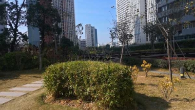 轻松应对2021留学生办理深圳户口的流程只需要掌握这5大技巧！