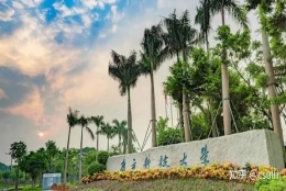 我的深圳博士申请日记