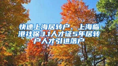 快速上海居转户、上海临港社保3.1人才证5年居转户人才引进落户