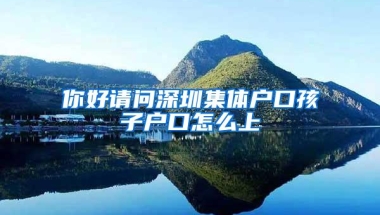 你好请问深圳集体户口孩子户口怎么上