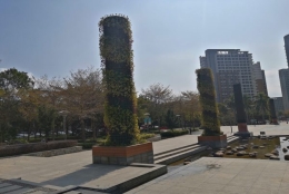 还不知道？2022留学生落户深圳政策越来越简单了，别错过这些内容！