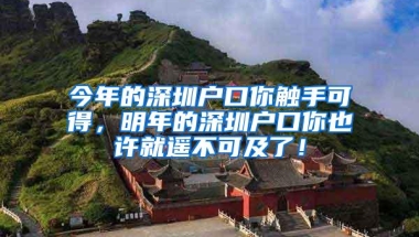 今年的深圳户口你触手可得，明年的深圳户口你也许就遥不可及了！