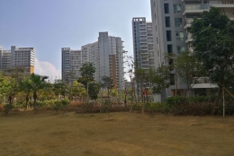 如何应对深圳核准入户要多久？掌握这3个关键点很重要！