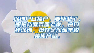 深圳户口挂户，要毕业了，想把档案弄回老家，户口挂深圳，现在是深圳学校集体户籍，