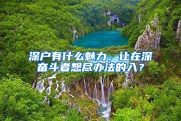 深户有什么魅力，让在深奋斗者想尽办法的入？