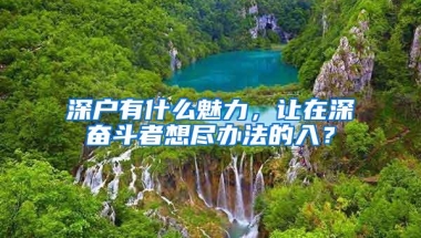 深户有什么魅力，让在深奋斗者想尽办法的入？