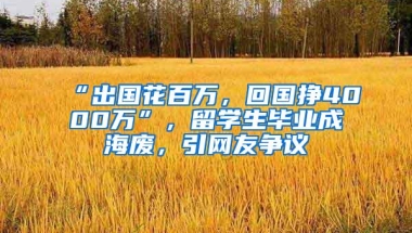 “出国花百万，回国挣4000万”，留学生毕业成海废，引网友争议