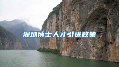 深圳博士人才引进政策