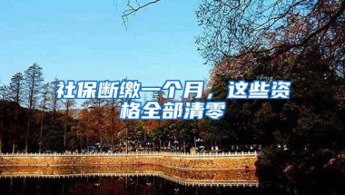 社保断缴一个月，这些资格全部清零