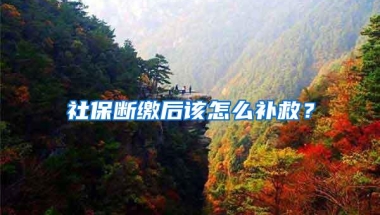 社保断缴后该怎么补救？
