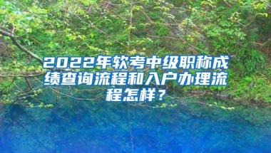 2022年软考中级职称成绩查询流程和入户办理流程怎样？