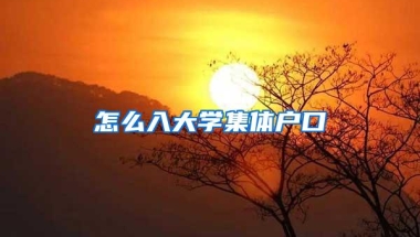 怎么入大学集体户口