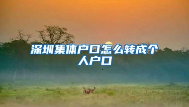 深圳集体户口怎么转成个人户口