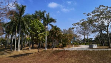 海归留学生可以入户深圳吗的新希望！