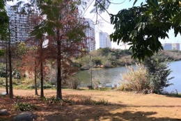 3个实用深圳研究生落户所需资料方法，让你轻松应对各类复杂信息