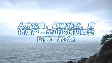 人才公寓、就业补贴、直接落户…金山这场招聘会信息量很大！