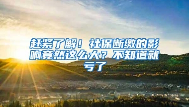 赶紧了解！社保断缴的影响竟然这么大？不知道就亏了