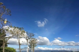 深圳调干入户的条件，想要走调干入户的可以进来了解一下