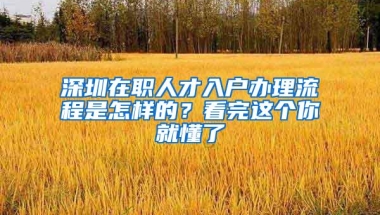 深圳在职人才入户办理流程是怎样的？看完这个你就懂了