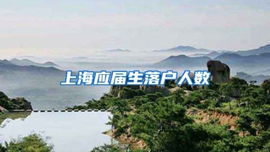 上海应届生落户人数