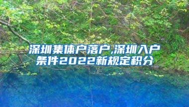 深圳集体户落户,深圳入户条件2022新规定积分