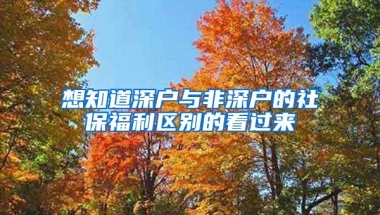 想知道深户与非深户的社保福利区别的看过来
