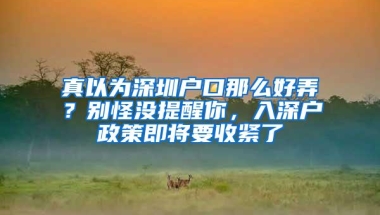 真以为深圳户口那么好弄？别怪没提醒你，入深户政策即将要收紧了