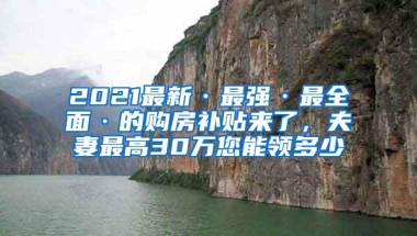 2021最新·最强·最全面·的购房补贴来了，夫妻最高30万您能领多少