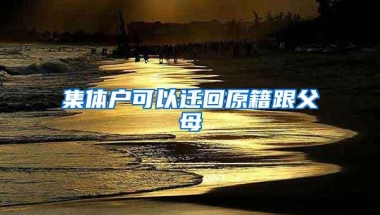 集体户可以迁回原籍跟父母