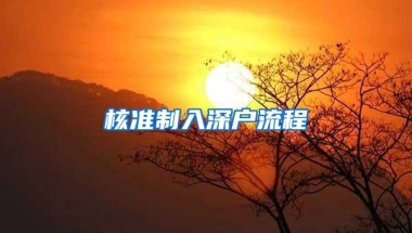 核准制入深户流程