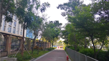 2021年留学回国人员深圳落户政策，背后的复杂你知道吗？