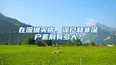在深圳买房，深户和非深户差别有多大？