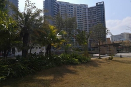 一个小白，到底该如何理解“深圳集体户口是什么意思”