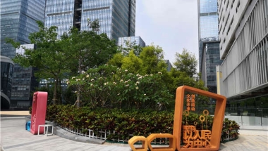 我终于发现了2021年深圳留学回国落户政策成功的秘诀！