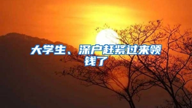 大学生、深户赶紧过来领钱了
