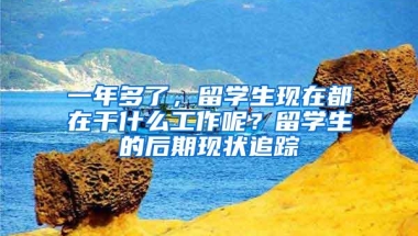 一年多了，留学生现在都在干什么工作呢？留学生的后期现状追踪