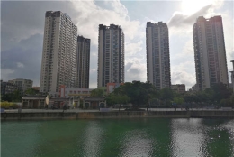 关于深圳集体户口算深户吗你应该知道的事！