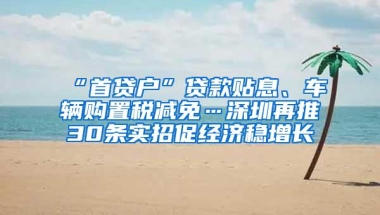 “首贷户”贷款贴息、车辆购置税减免…深圳再推30条实招促经济稳增长