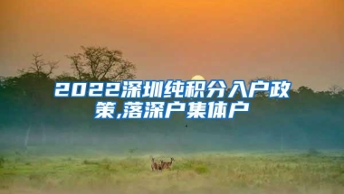 2022深圳纯积分入户政策,落深户集体户