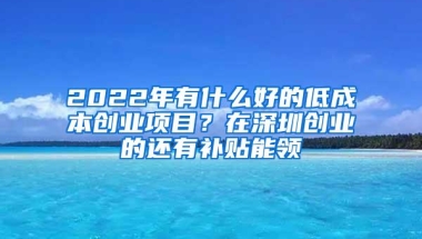 2022年有什么好的低成本创业项目？在深圳创业的还有补贴能领