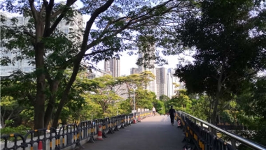 2021年深圳留学生落户新政成功的秘密！
