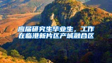 应届研究生毕业生，工作在临港新片区产城融合区
