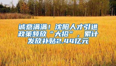 诚意满满！沈阳人才引进政策频放“大招”，累计发放补贴2.44亿元