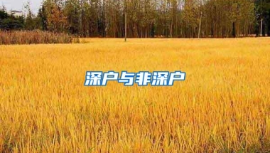 深户与非深户