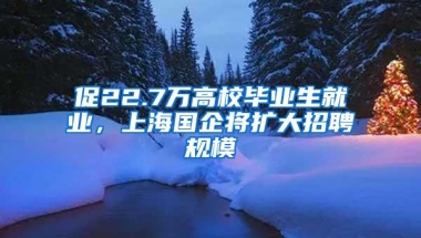 促22.7万高校毕业生就业，上海国企将扩大招聘规模