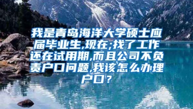 我是青岛海洋大学硕士应届毕业生,现在;找了工作还在试用期,而且公司不负责户口问题,我该怎么办理户口？